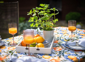 Obrus Lemon Party
