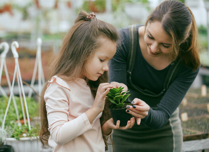 monstera kraina obrusów