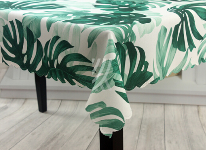 monstera kraina obrusów