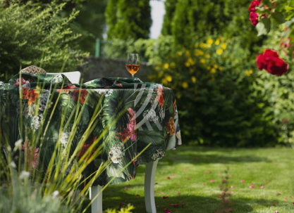 monstera kraina obrusów