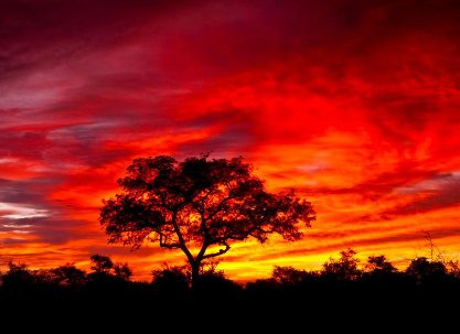Czerwień zachodzącego słońca kraina obrusów