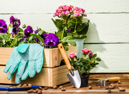 Kwiaty i narzędzia ogrodnicze kwiaty, narzędzia ogrodnicze