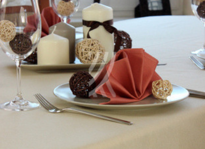 Obrus Pola Beż Mankiet Obrus Pola Beż Mankiet