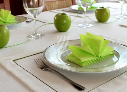 Podkładka Kolekcja Len BŁ WYP ZIEL